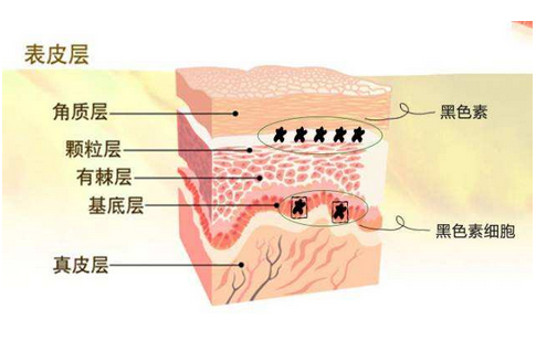 局限性白斑多年不治疗可以吗