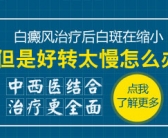 手部白癜风不严重康复的概率大吗”