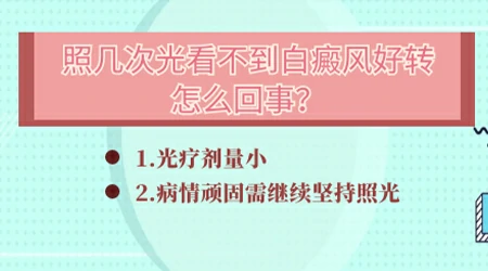 探索白癜风治疗之路：全面疗法总结