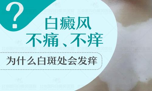 婴儿头颈上有白点是怎么回事？